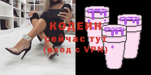 ешки Арсеньев