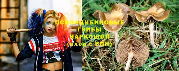дживик Армянск
