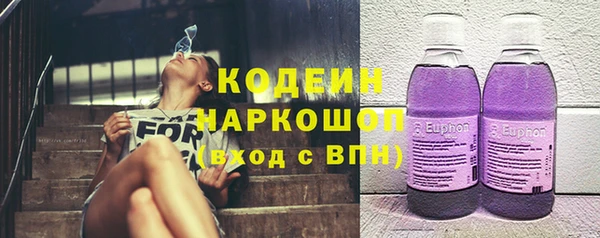 ешки Арсеньев